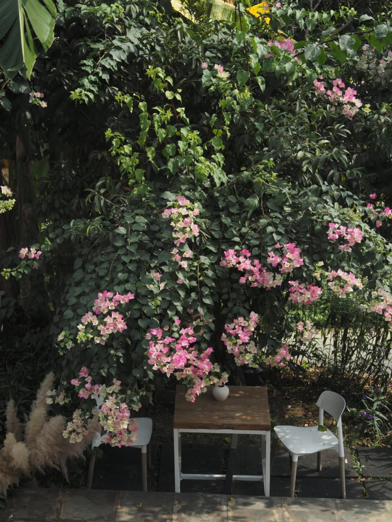 Yangshuo Hillside Homestay ภายนอก รูปภาพ