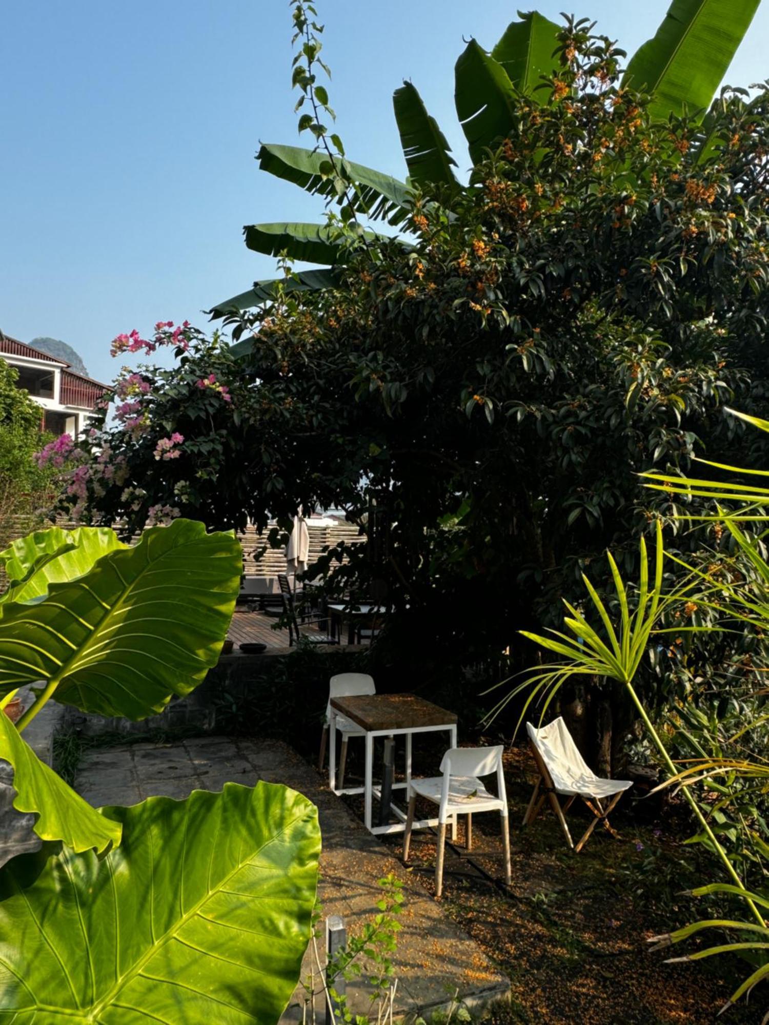 Yangshuo Hillside Homestay ภายนอก รูปภาพ