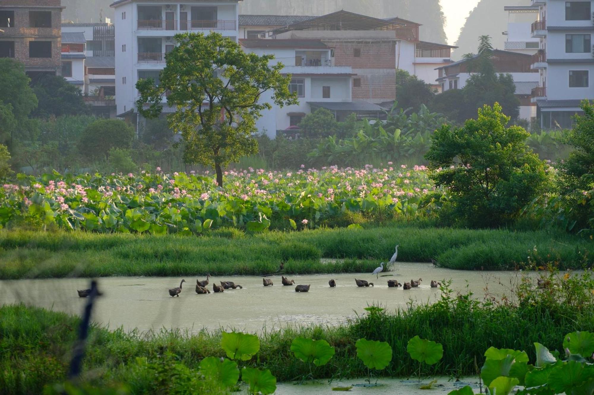 Yangshuo Hillside Homestay ภายนอก รูปภาพ