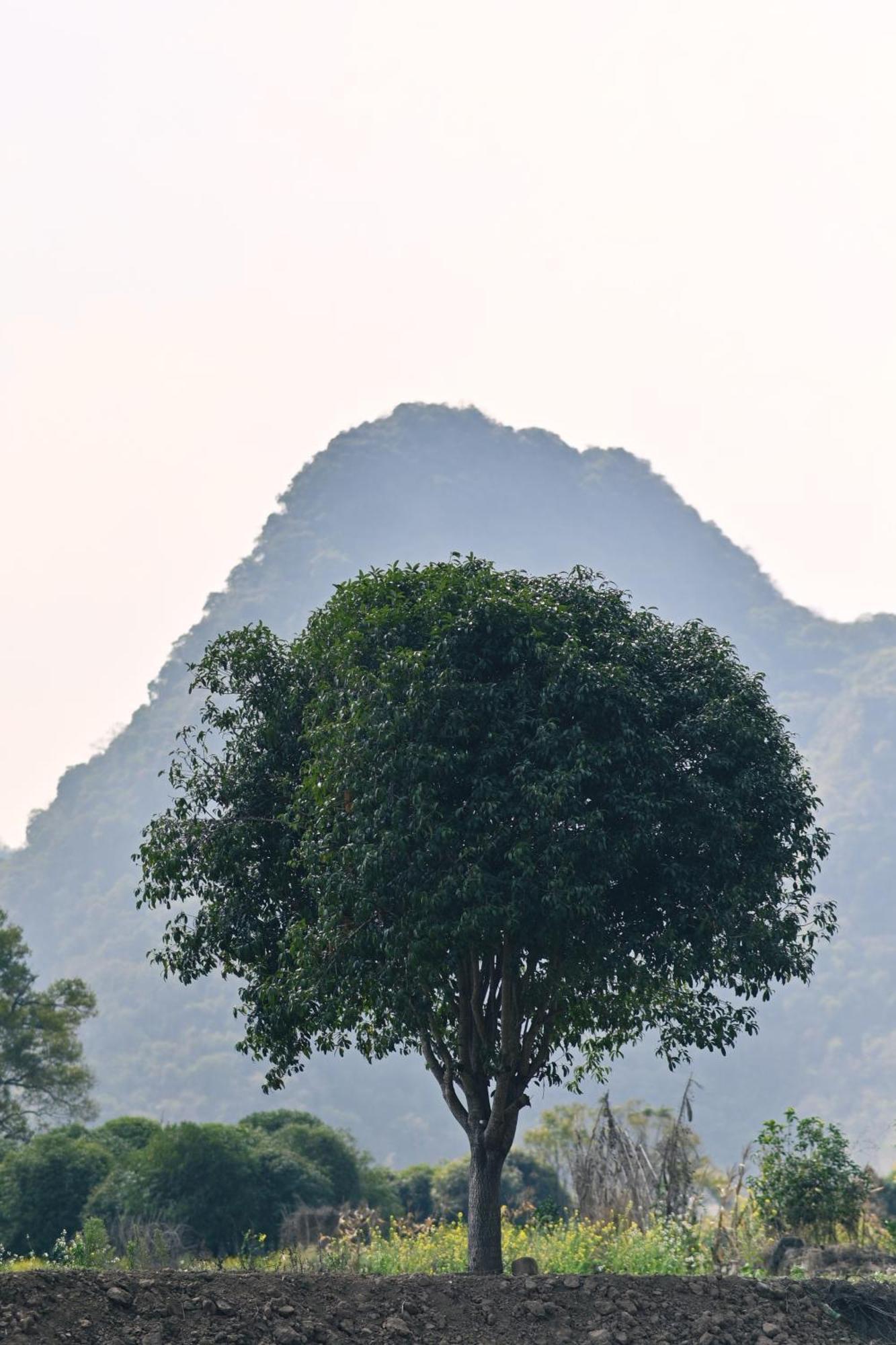 Yangshuo Hillside Homestay ภายนอก รูปภาพ