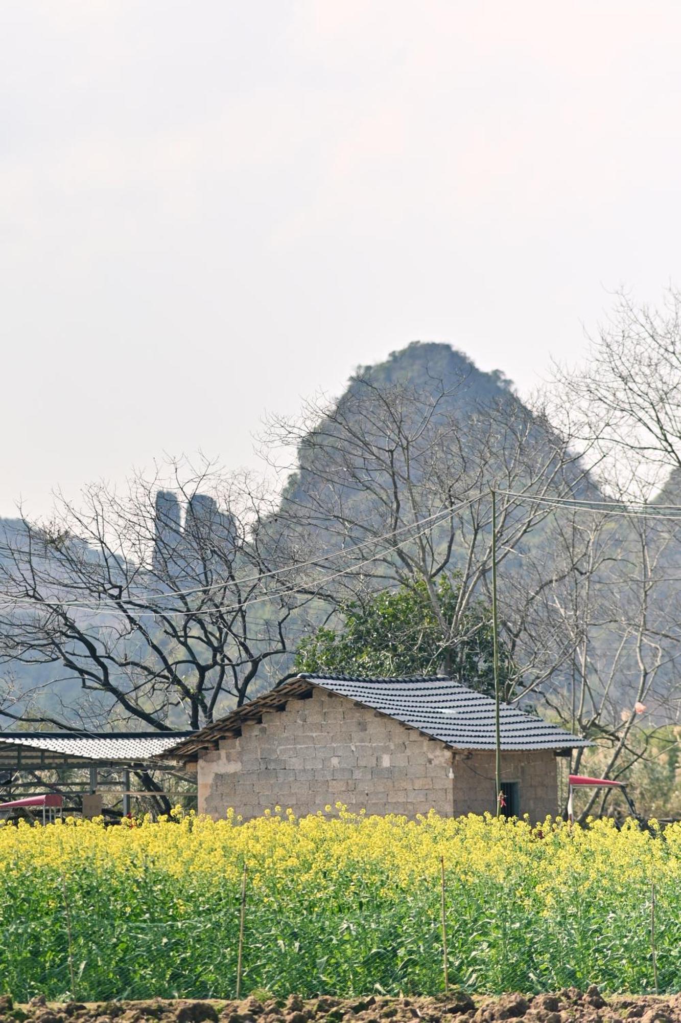 Yangshuo Hillside Homestay ภายนอก รูปภาพ